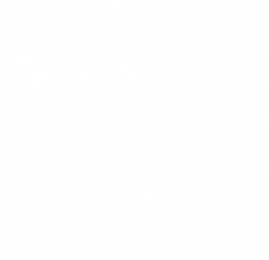 MP-Customs-White-300×290